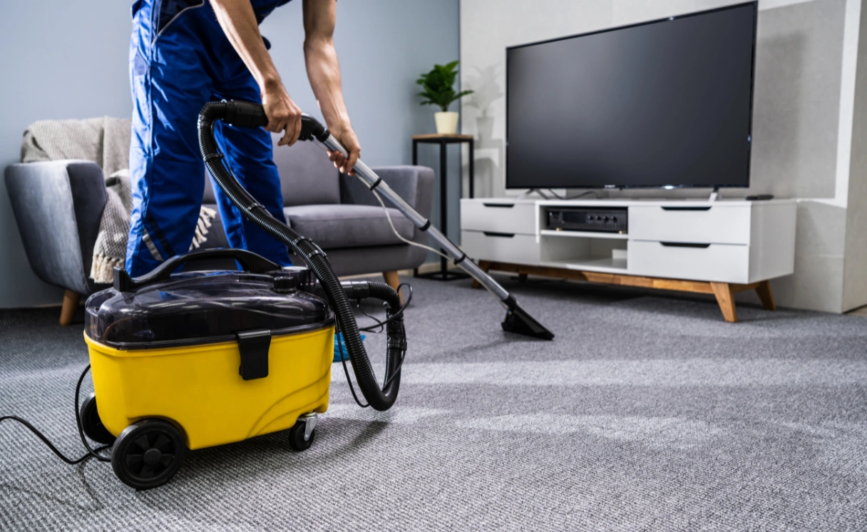Extract Curtain Cleaning Box Hill Contact Office